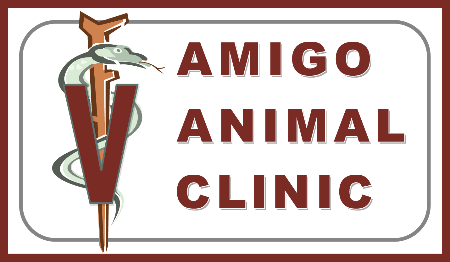 Amigo Animal Clinic